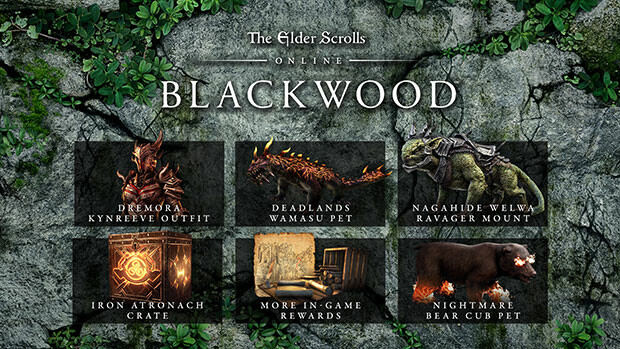 Elder Scrolls Online: Blackwood (PC) Review - CGMagazine